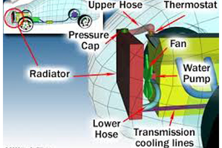 BMWservice redcliffe